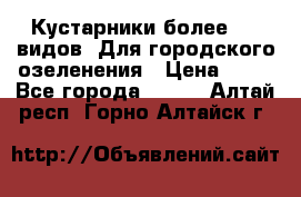 Кустарники более 100 видов. Для городского озеленения › Цена ­ 70 - Все города  »    . Алтай респ.,Горно-Алтайск г.